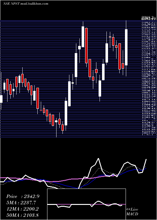  Daily chart NetworkPeople