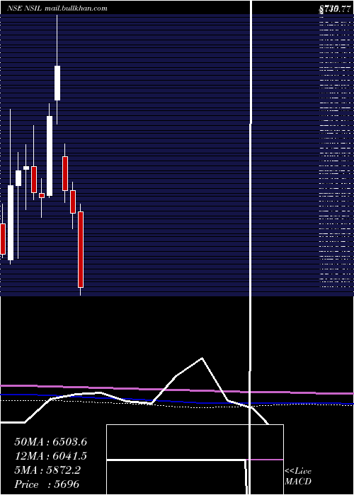  monthly chart NalwaSons