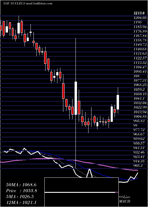  Daily chart NucleusSoftware