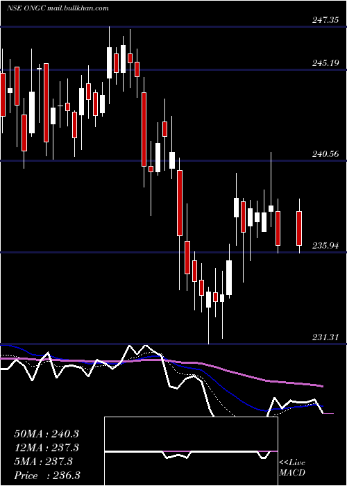  Daily chart OilNatural