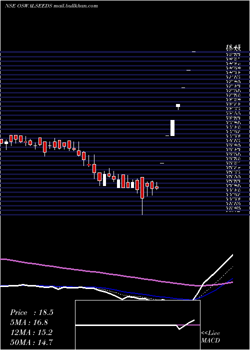  Daily chart ShreeoswalS