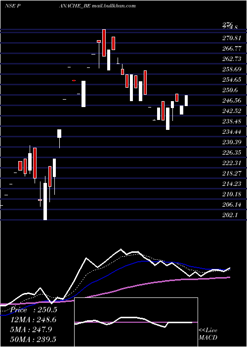  Daily chart PanacheDigilife