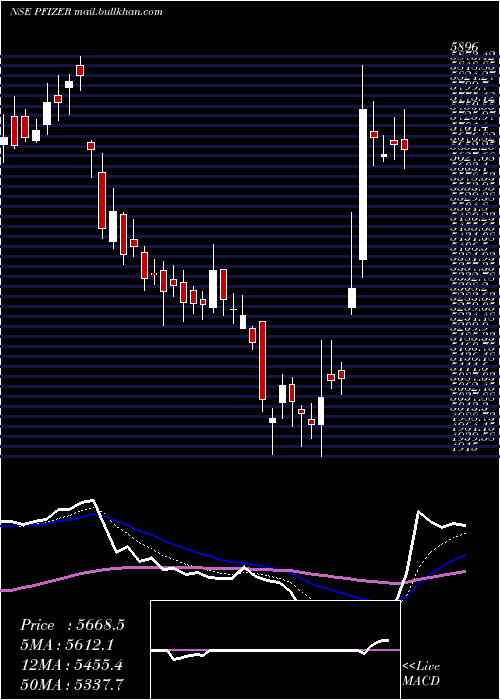  Daily chart Pfizer