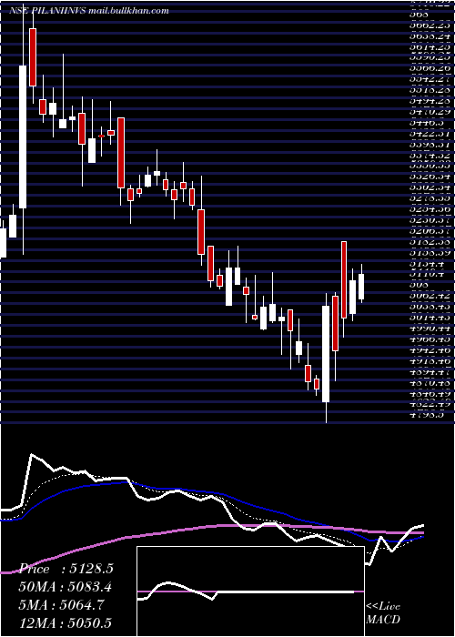  Daily chart PilaniInv