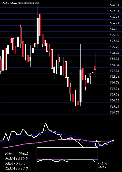  Daily chart PN