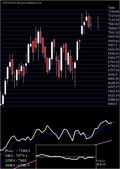  Daily chart PolycabIndia
