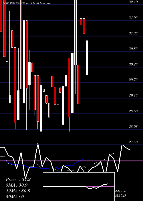  Daily chart PolyspinExports