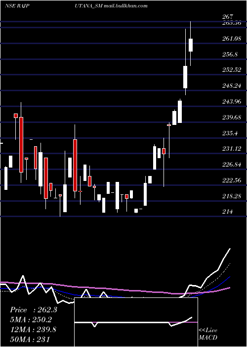  Daily chart RajputanaBiodiesel