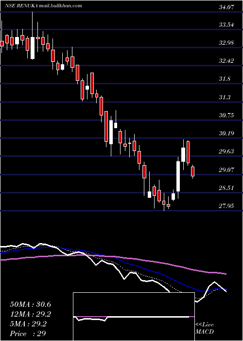  Daily chart ShreeRenuka