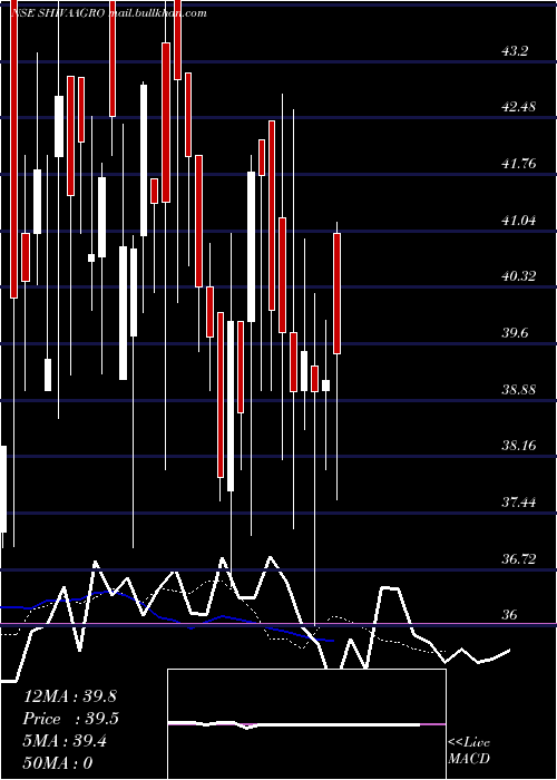  Daily chart ShivaGlobal