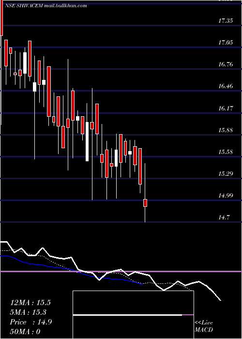  Daily chart ShivaCement