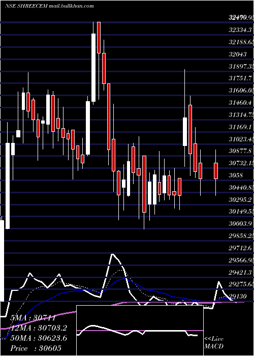  Daily chart ShreeCements