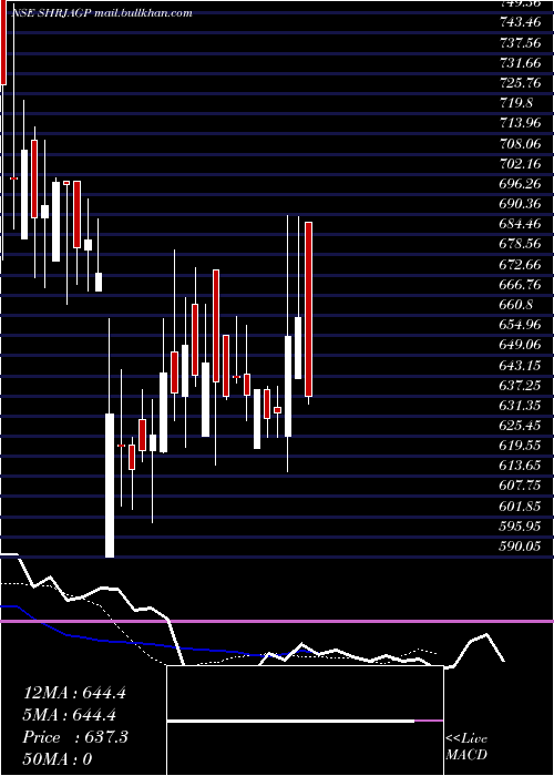  Daily chart ShriJagdamba