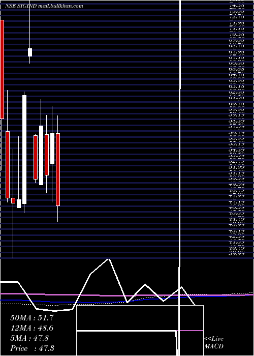  monthly chart SignetIndustries