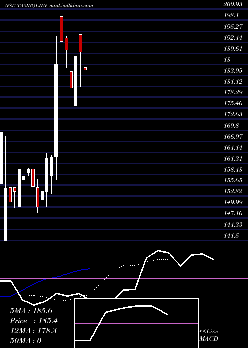  Daily chart TamboliIndustries