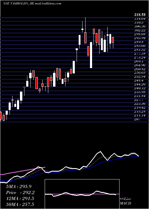  Daily chart TamboliIndustries