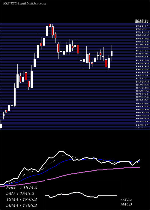  Daily chart TegaIndustries