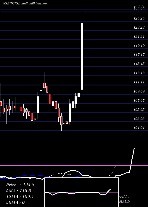  Daily chart TG