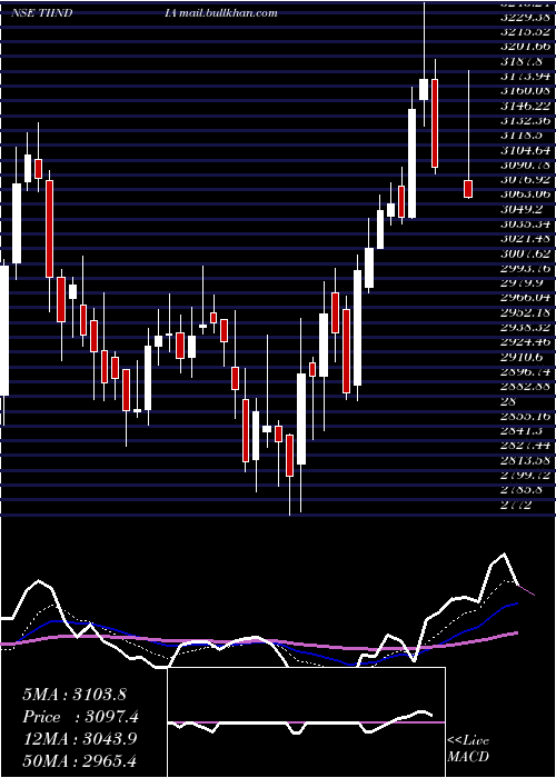  Daily chart TubeInvest