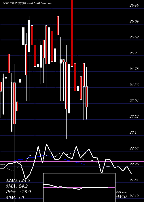  Daily chart TranscorpInternational