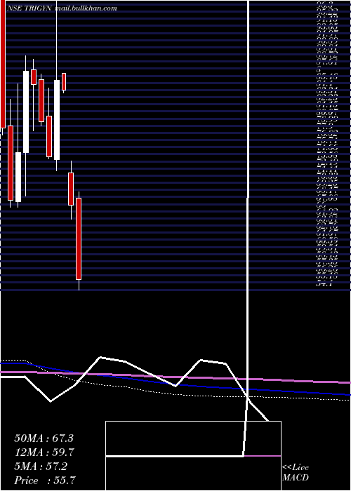  monthly chart TrigynTechnologies
