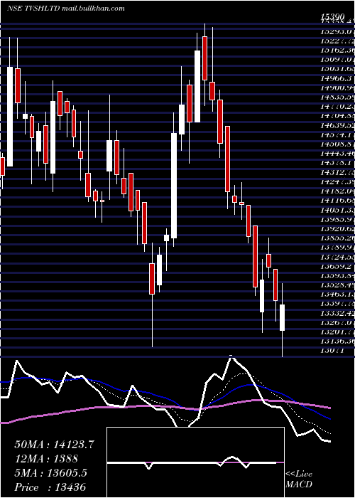  Daily chart TvsHoldings