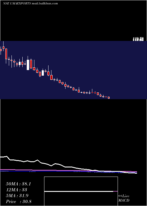  weekly chart UmaExports