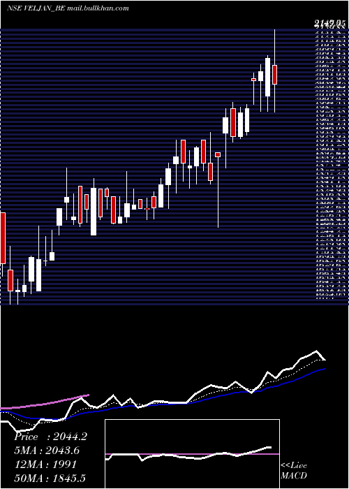  Daily chart VeljanDenison