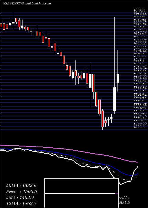  Daily chart VenkyS