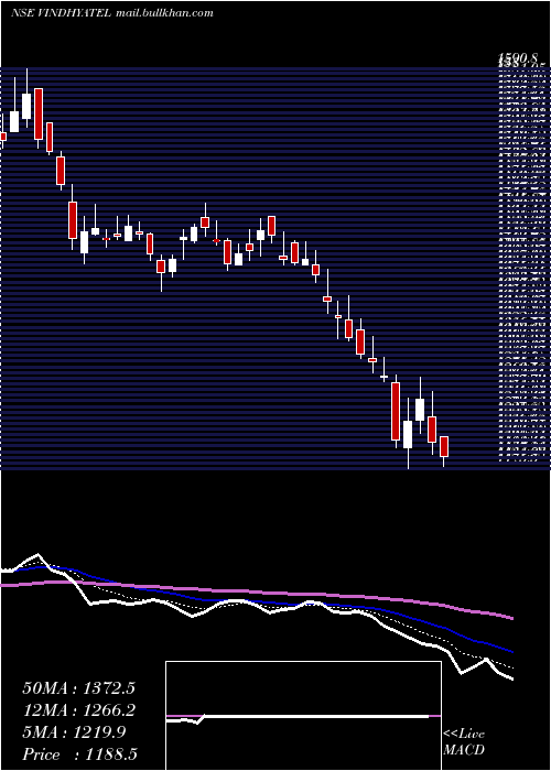  Daily chart VindhyaTelelinks
