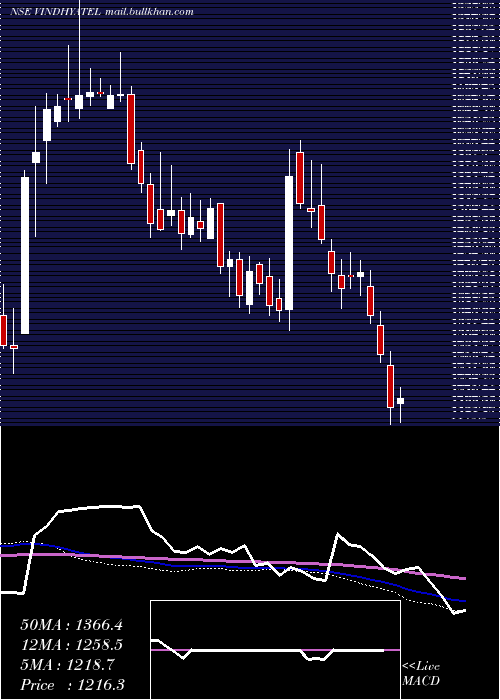  weekly chart VindhyaTelelinks
