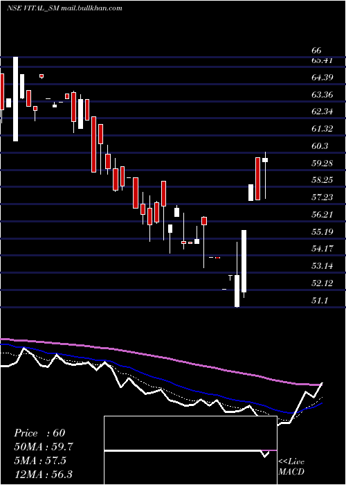  Daily chart VitalChemtech