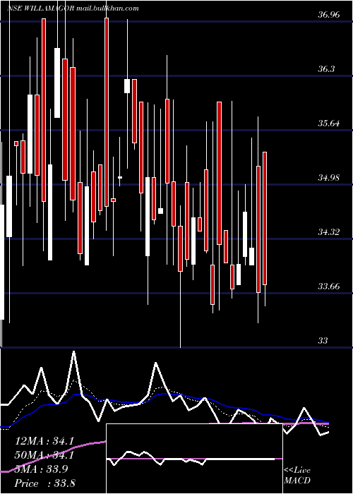  Daily chart WilliamsonMagor