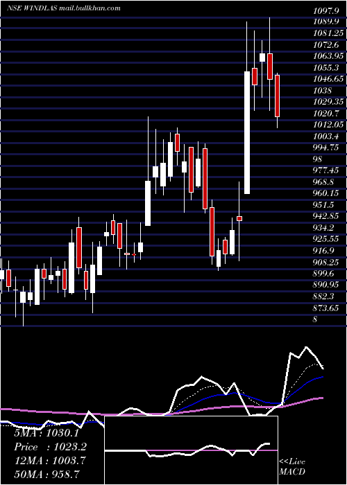  Daily chart WindlasBiotech