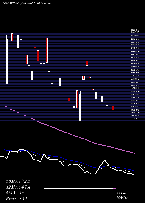 Daily chart WinnyImmigra