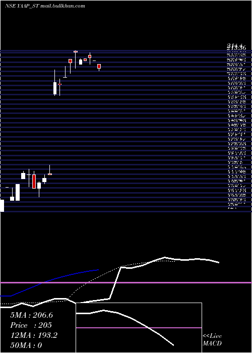  Daily chart YaapDigital