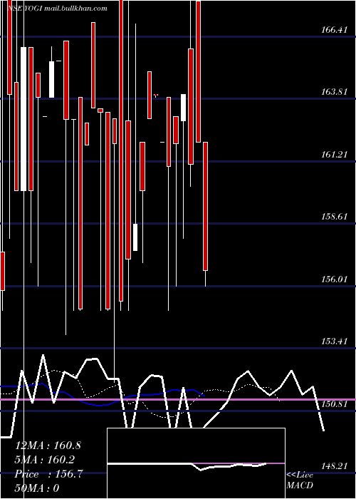  Daily chart Yogi