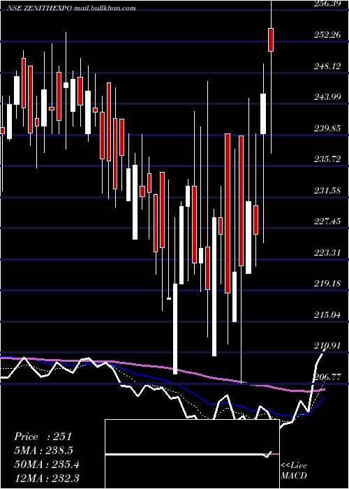  Daily chart ZenithExports