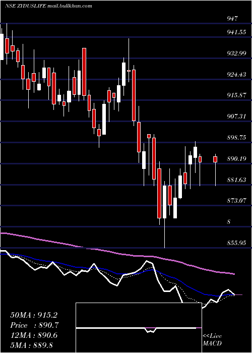  Daily chart ZydusLifesciences