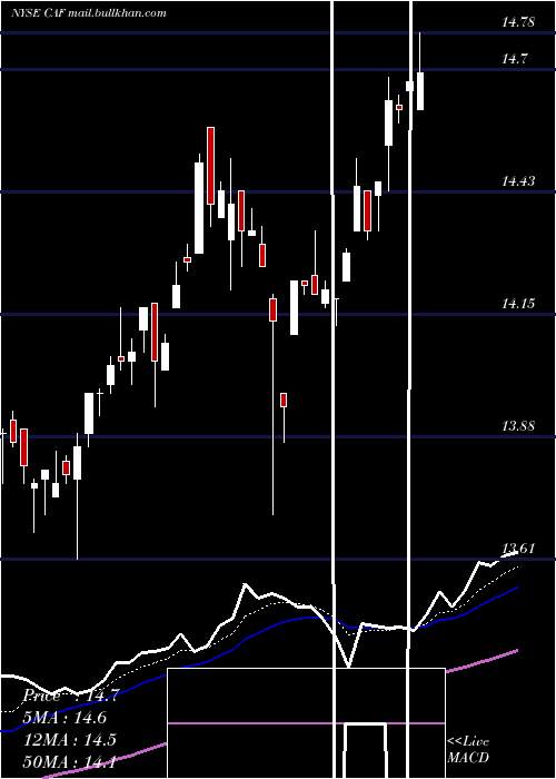  Daily chart MorganStanley