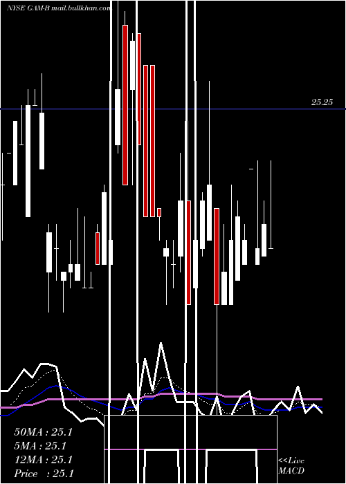  Daily chart GenlAmer
