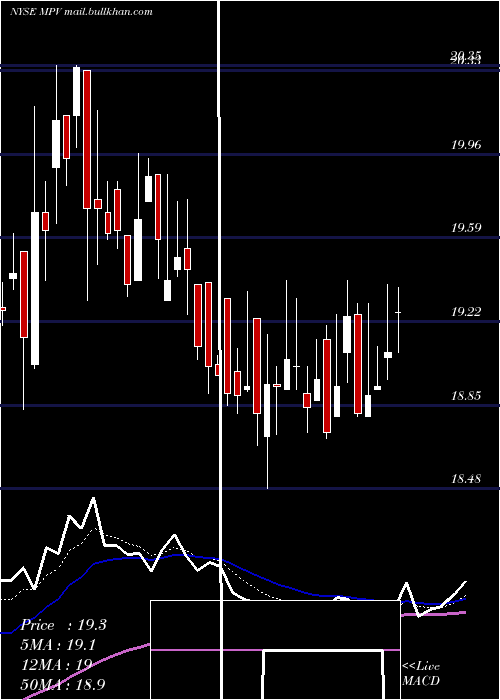  Daily chart BaringsParticipation