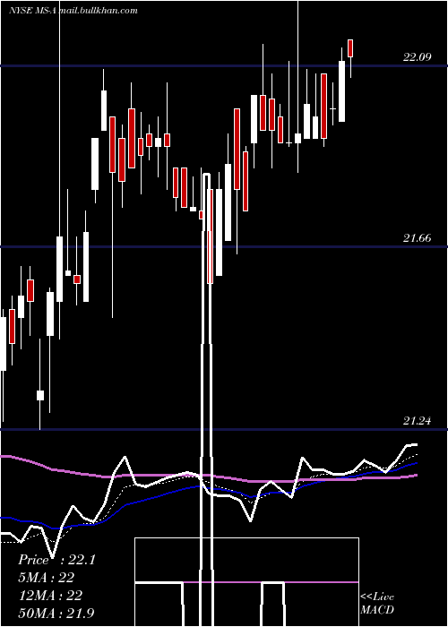  Daily chart MorganStanley