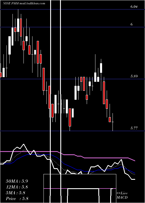  Daily chart PutnamManaged