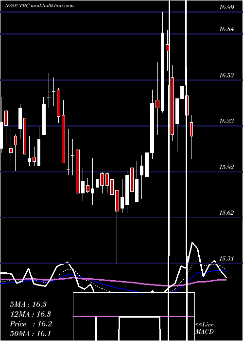  Daily chart TejonRanch
