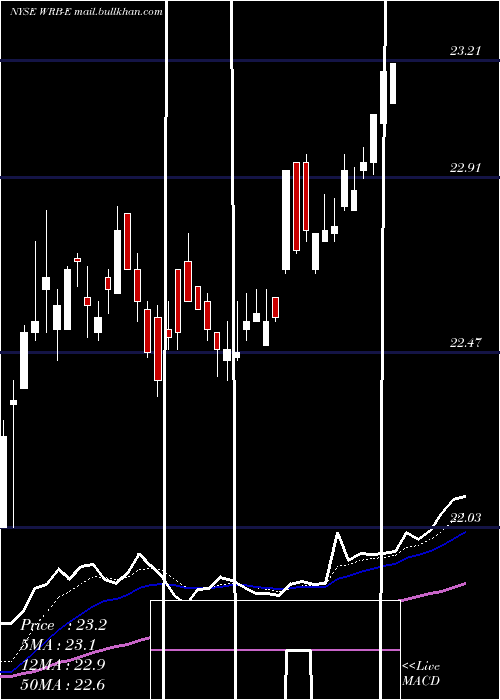  Daily chart BerkleyW