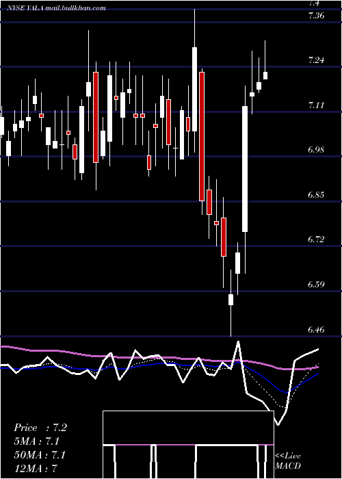  Daily chart YallaGroup