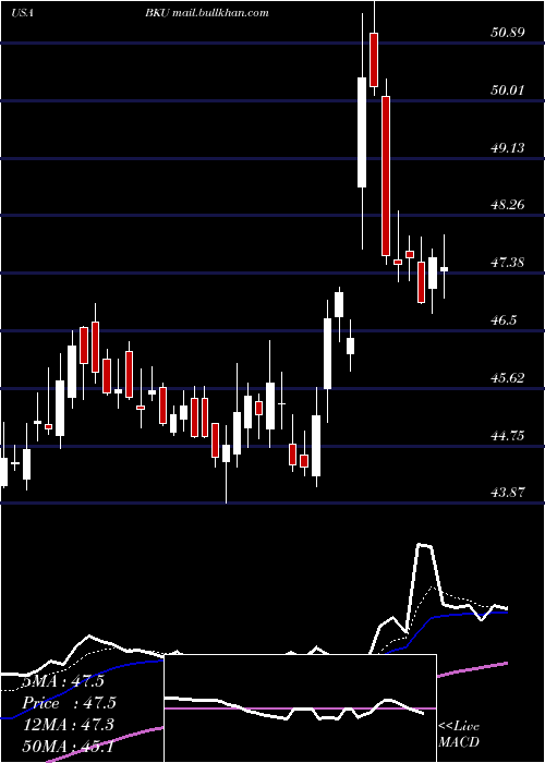  Daily chart BankunitedInc