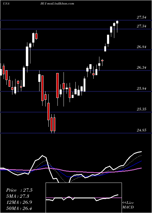  Daily chart BlackrockUtility