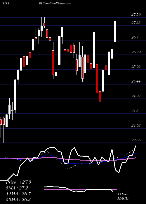  weekly chart BlackrockUtility